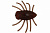 Мягк.приманки LureMax DUNG BUG 1''/3 см, LSDB1-05-005 Teriyaki Oil (5шт)