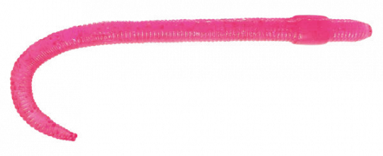 worm