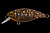 Воблер TsuYoki CHAFER MR 40F L020