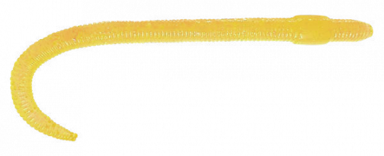 worm