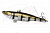 Saurus Vivra Китай 55мм, 10гр, BS