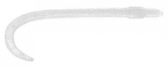 worm